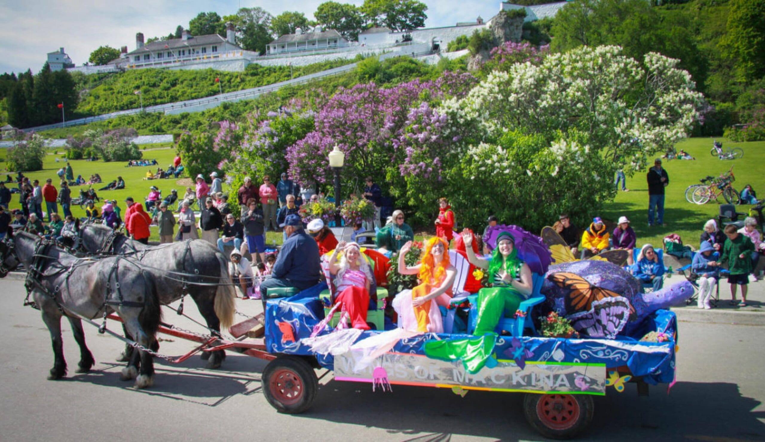 There's so Much to Do at The Lilac Festival! Lilac Tree Suites on